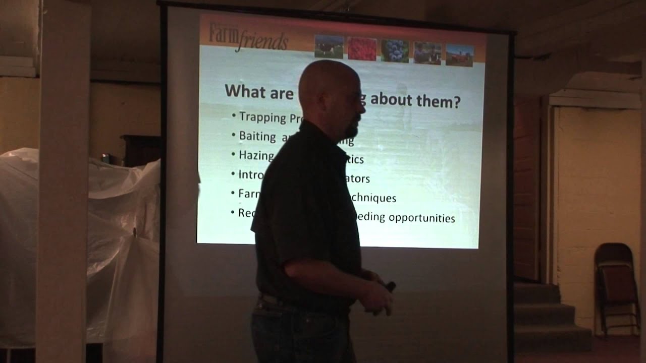 Options for Managing Nuisance Wildlife (i.e., starlings, beaver, etc.)