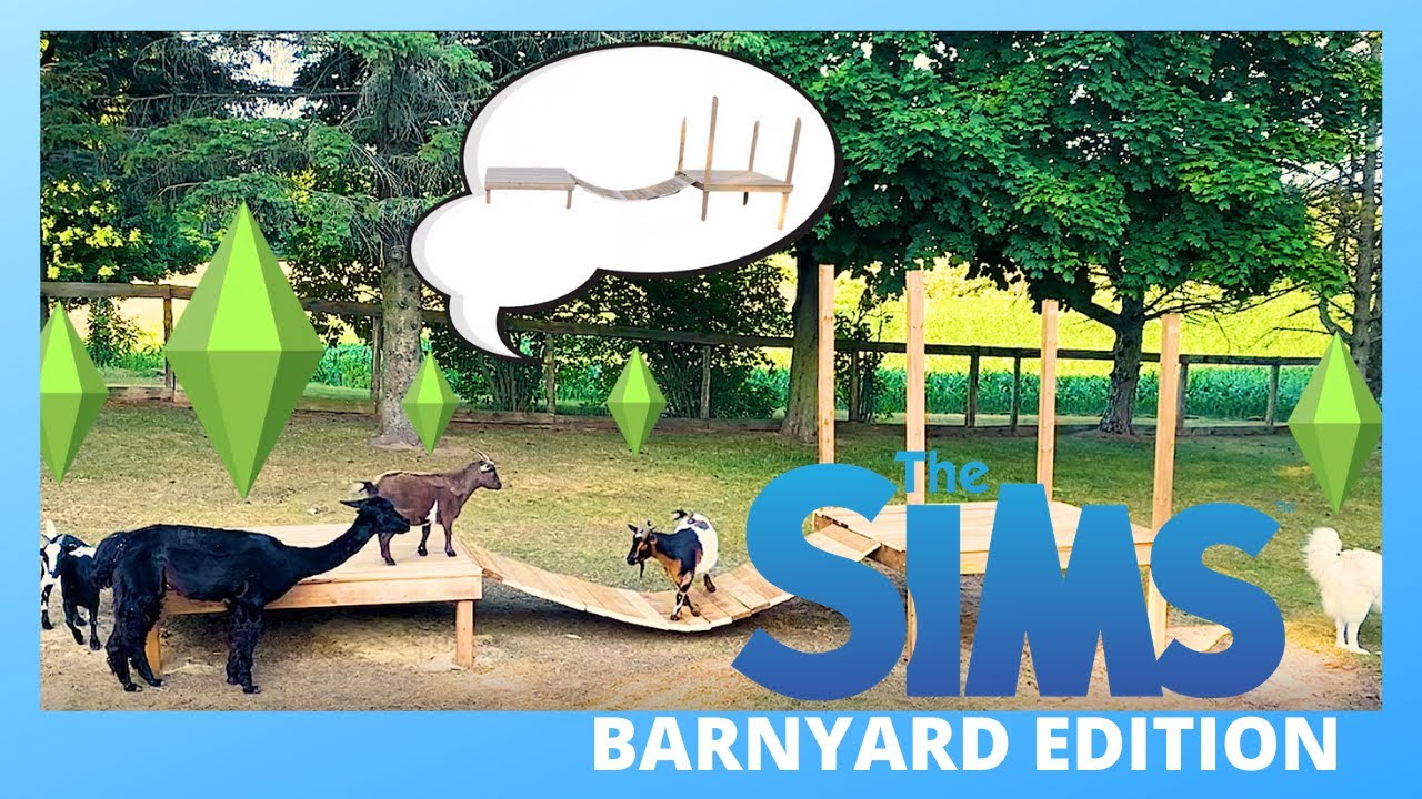 MY GOATS REACT TO THEIR NEW PLAYGROUND | The Sims...barnyard edition |
