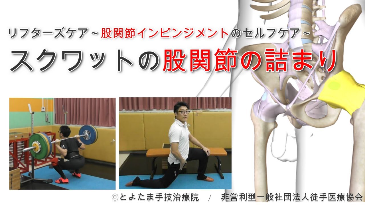 【セルフケア】スクワットの股関節の詰まり・股関節インピンジメント【リフターズケア】