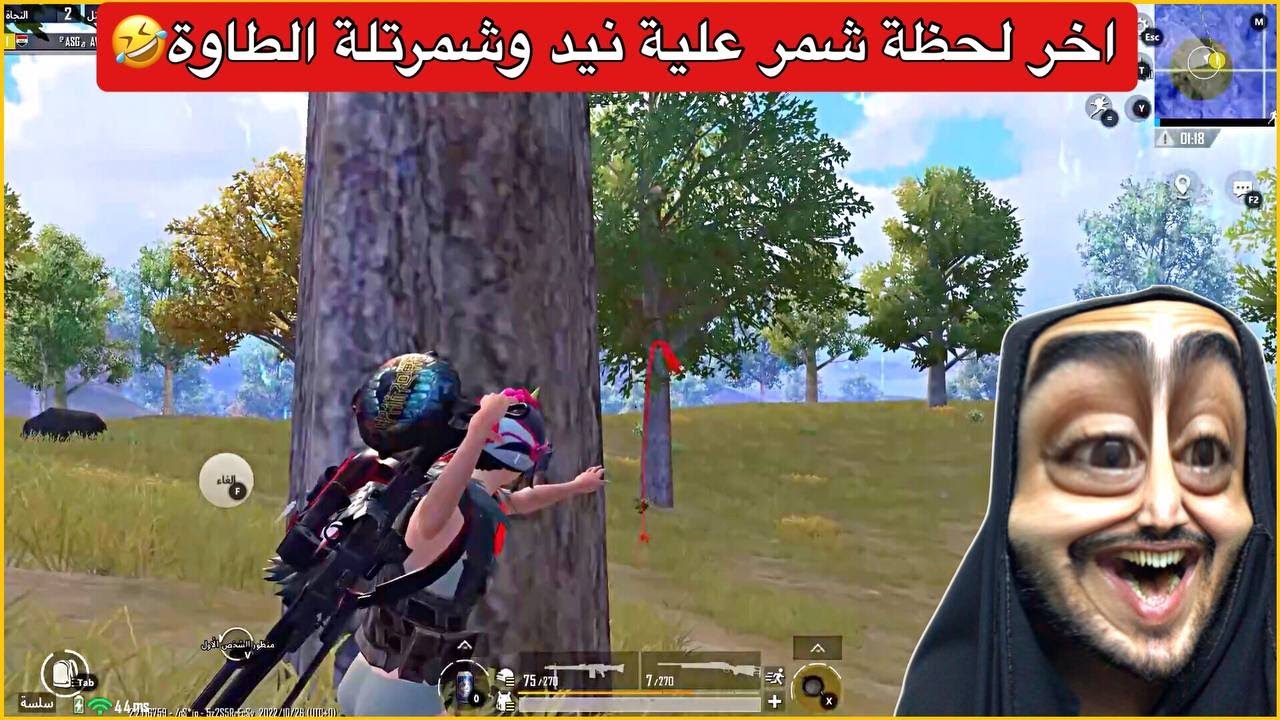 24 قتلة سولو ضد سكواد🔥اخر لاعب شمرت علية الطاوة😂ببجي موبايل