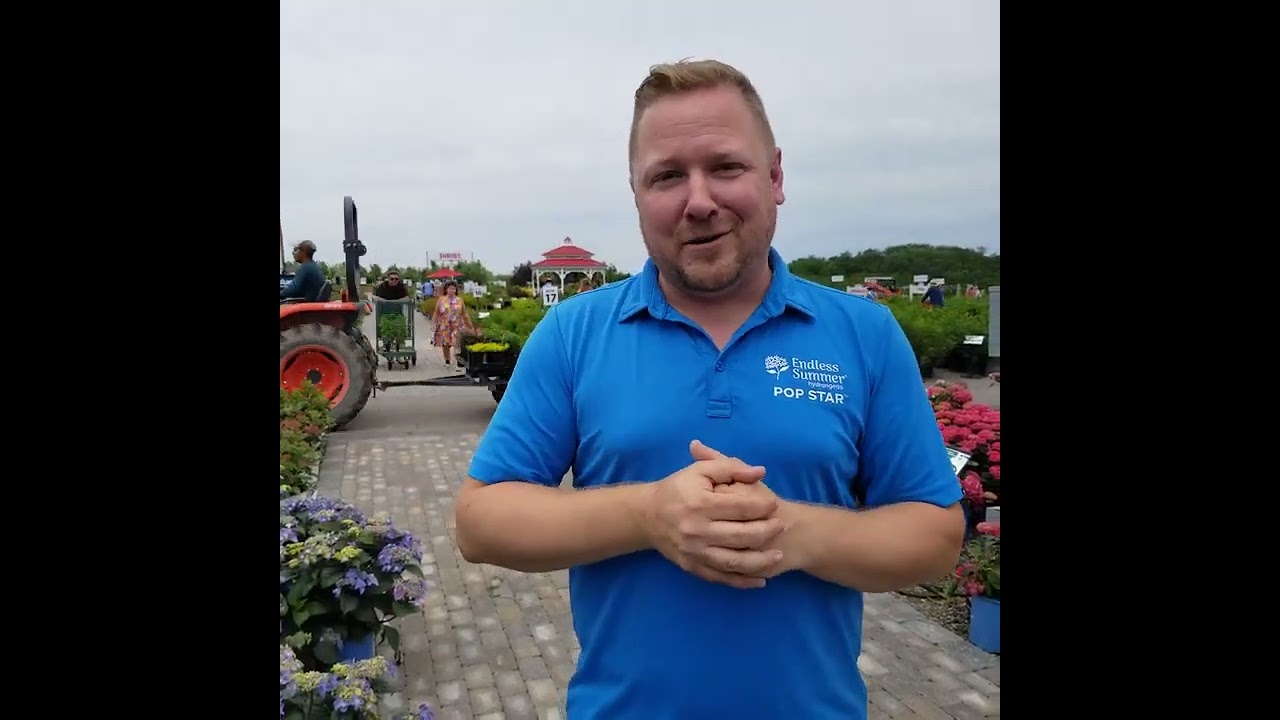 All About Hydrangeas with Ryan of Baileys | Gertens Garden Center