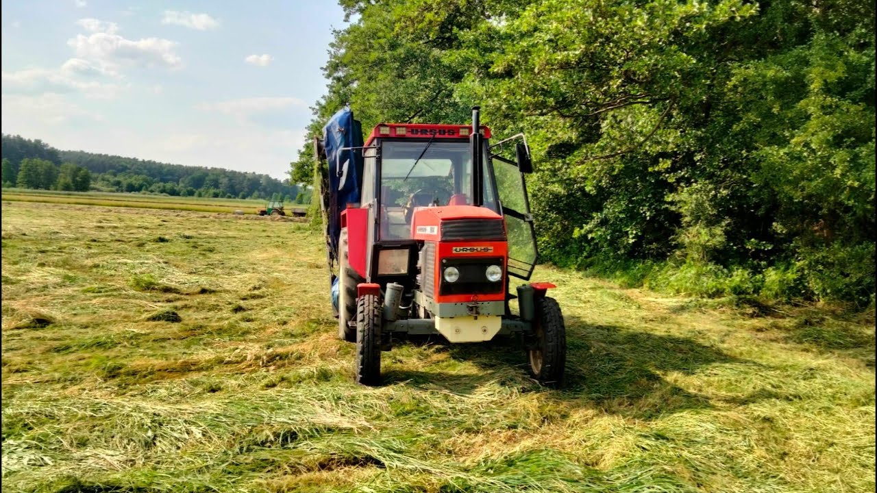 (AKCJA SIANOKOSY) KOSZENIE ORAZ PRZETRZĄSANIE ŁĄK