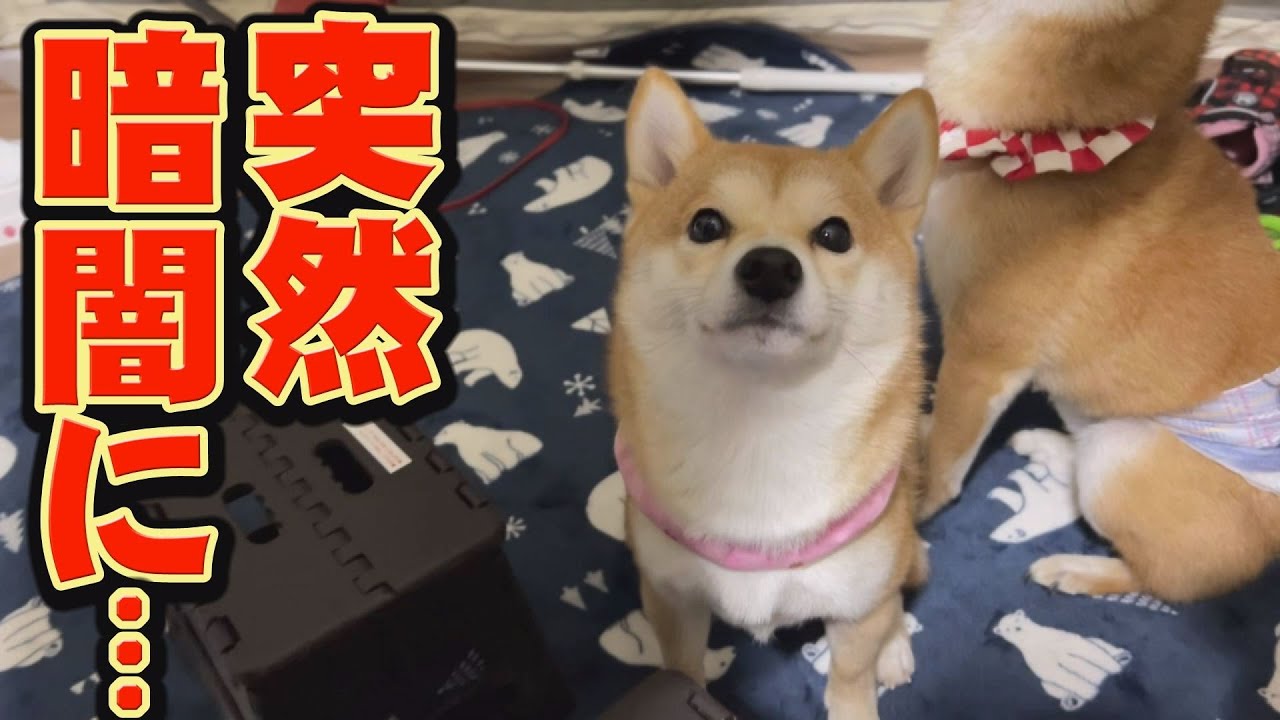 キャンプ最終日の夜、とんでもない事態に・・・