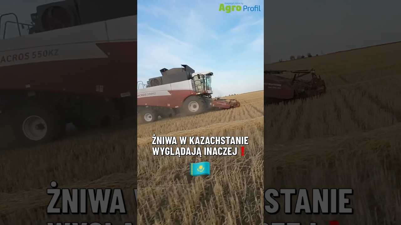 Dlaczego w Kazachstanie żniwa wyglądają inaczej?