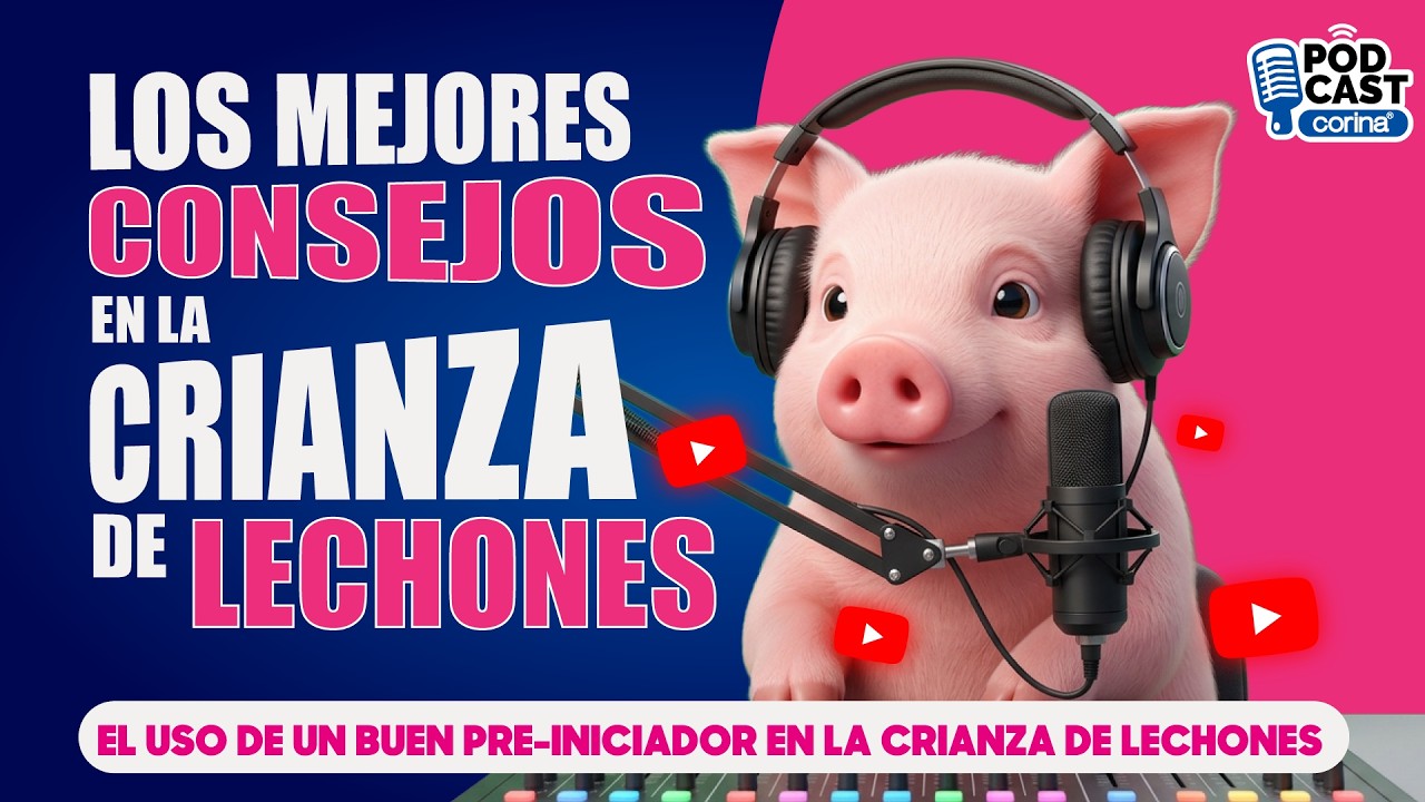 🐷𝐄𝐥 𝐮𝐬𝐨 𝐝𝐞 𝐮𝐧 𝐛𝐮𝐞𝐧 𝐩𝐫𝐞-𝐢𝐧𝐢𝐜𝐢𝐚𝐝𝐨𝐫 𝐞𝐧 𝐥𝐚 𝐜𝐫𝐢𝐚𝐧𝐳𝐚 𝐝𝐞 𝐋𝐞𝐜𝐡𝐨𝐧𝐞𝐬 🎙️- 𝐋𝐨𝐬 𝐦𝐞𝐣𝐨𝐫𝐞𝐬 𝐜𝐨𝐧𝐬𝐞𝐣𝐨𝐬 𝐩𝐚𝐫𝐚 𝐭𝐮 𝐜𝐫𝐢𝐚𝐧𝐳𝐚🐷