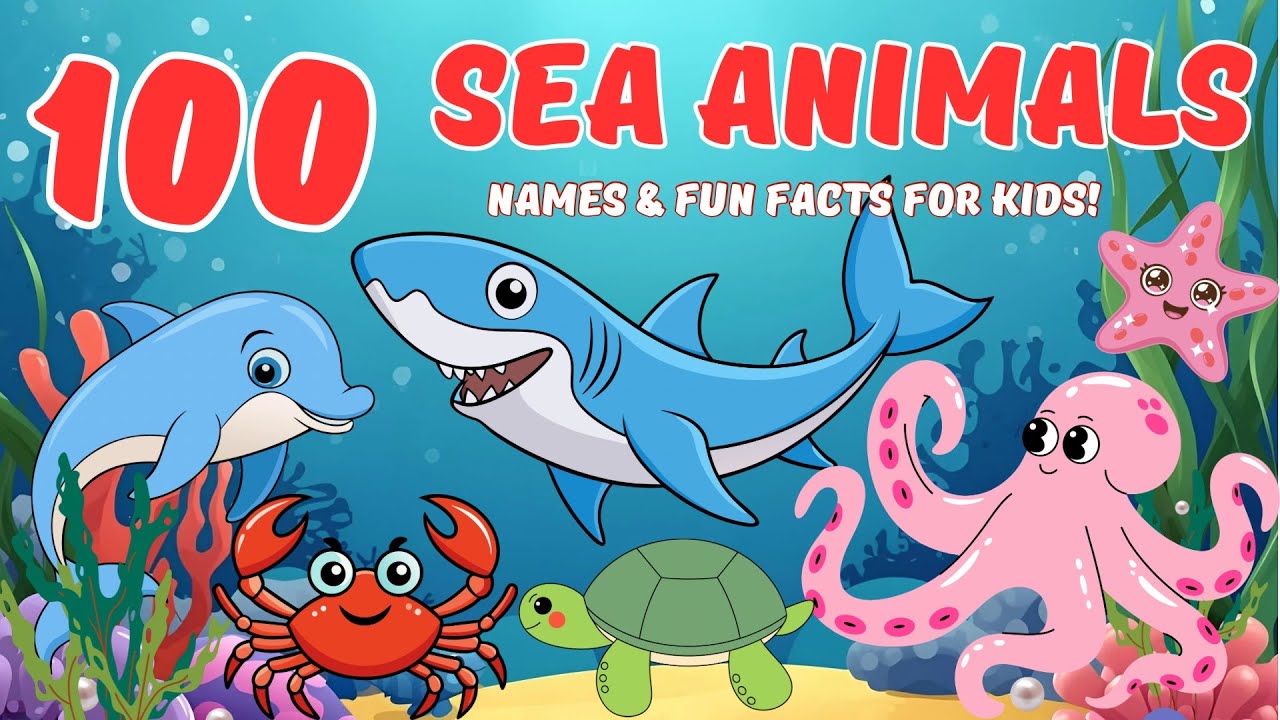 Узнайте всё о 100 морских животных 🐠 Интересные факты об океане для детей