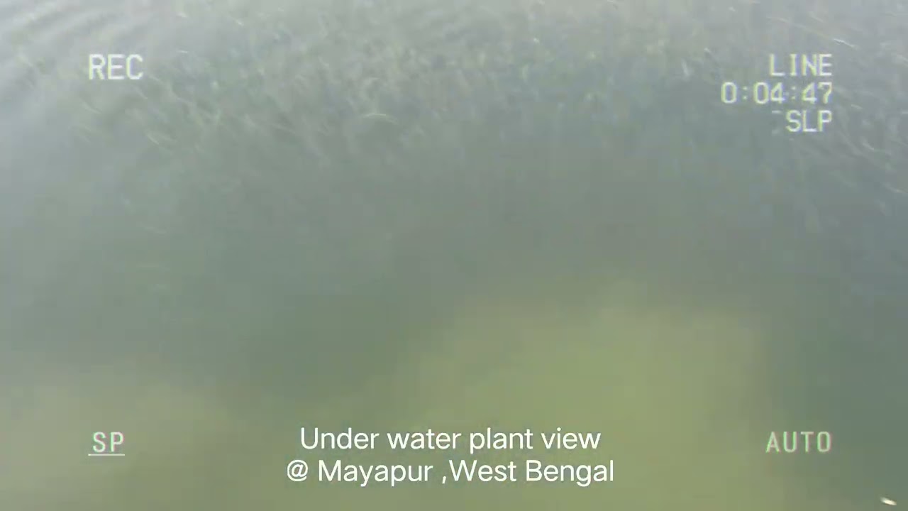 Mayapur River || under water views || iskcon 