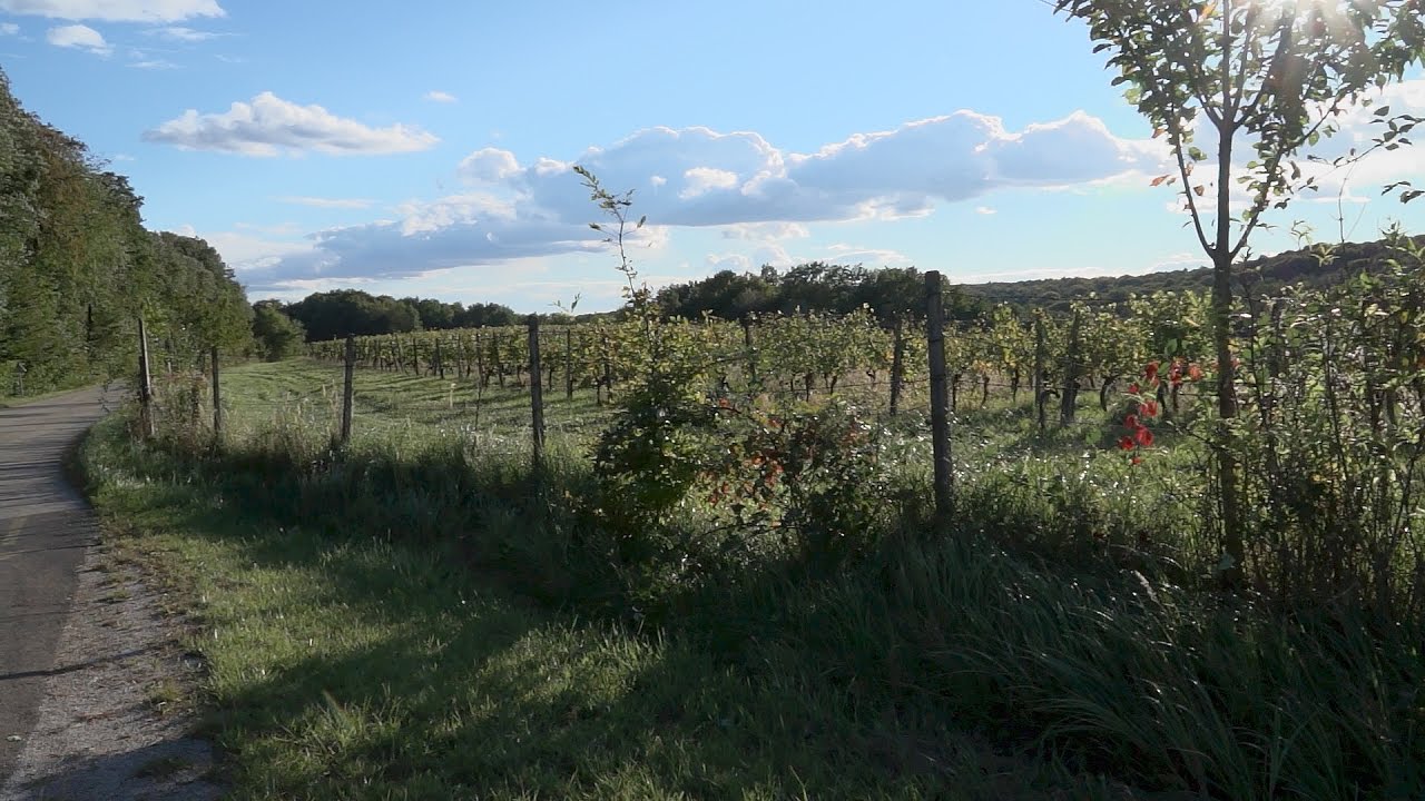Kulinarische Ausflugstipps in Prekmurje, Slowenien