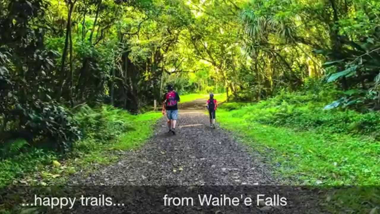 1-31-15 Hamama & Waihe'e Falls