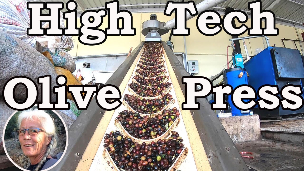 High Tech Olive Press at Work - Turkish Village Live