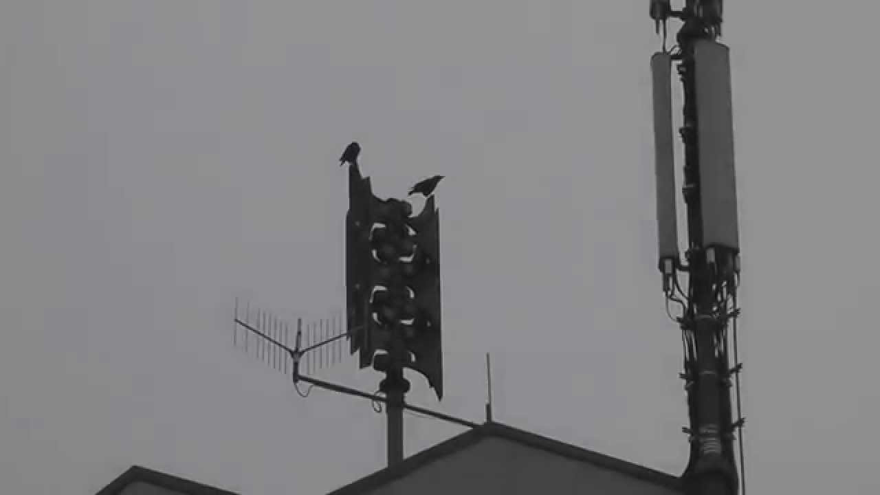 [UNHEIMLICHER SIRENENKLANG] 3x Sirenenprobealarm Chemiekonzern Frankfurt/Main 2015