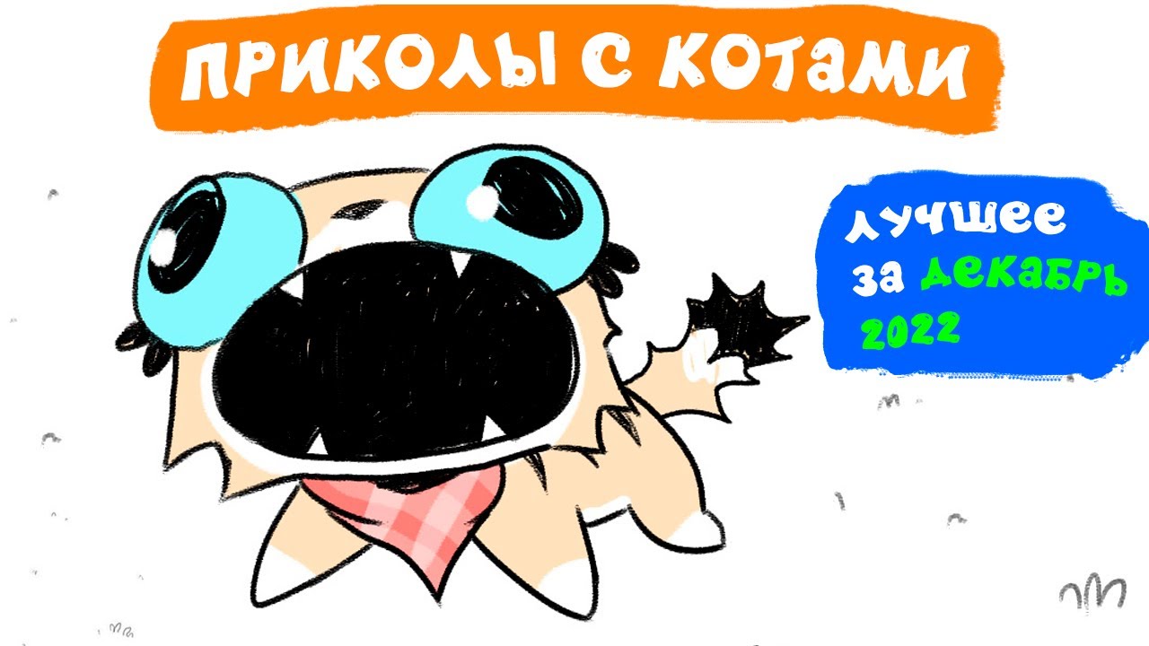 Приколы с котами. ЛУЧШЕЕ ЗА ДЕКАБРЬ 2022 | Мемозг