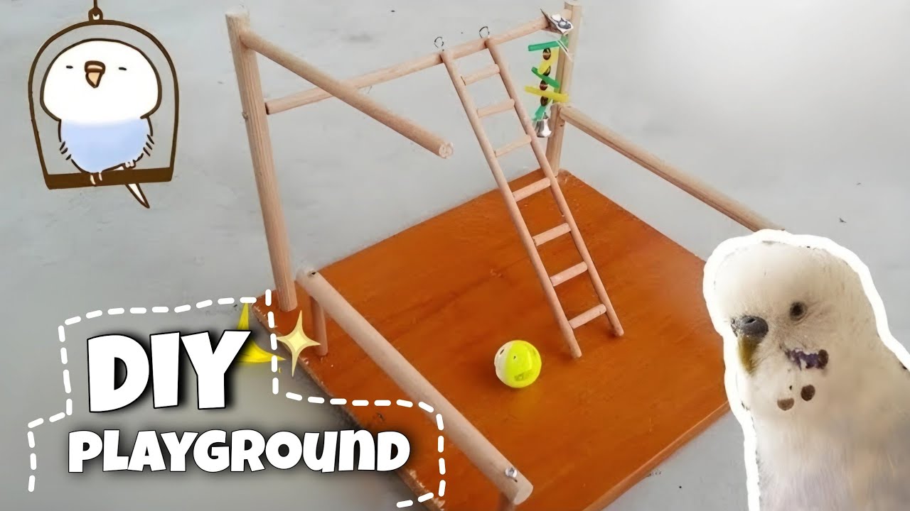 Making a Small Budgie Playground | DIY