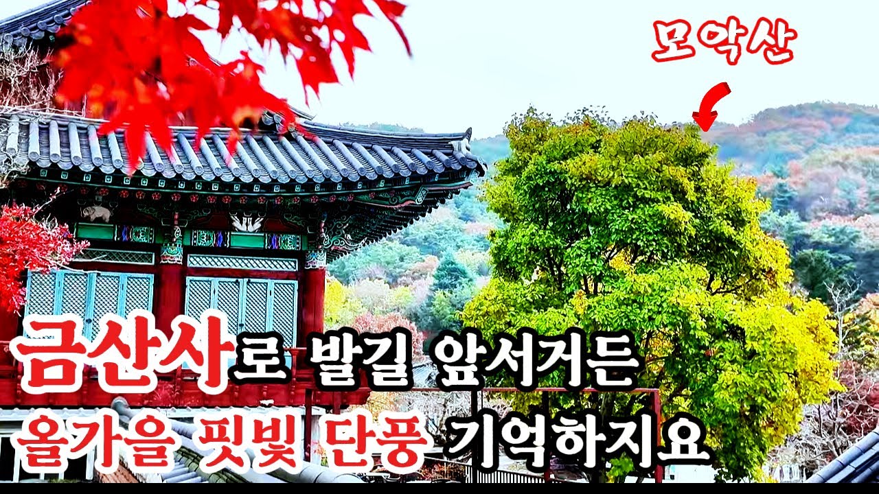 🏯 천년고찰 금산사, 모악산의 가을 🍁 금산사 가을 풍경 | | Geumsansa Temple 4K Cinematic Drone | Autumn in Korea