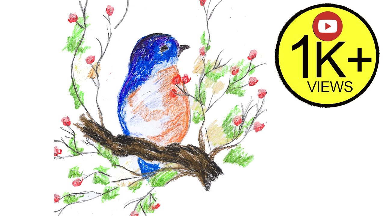 Как нарисовать птицу || Bird Easy Draw Учебник