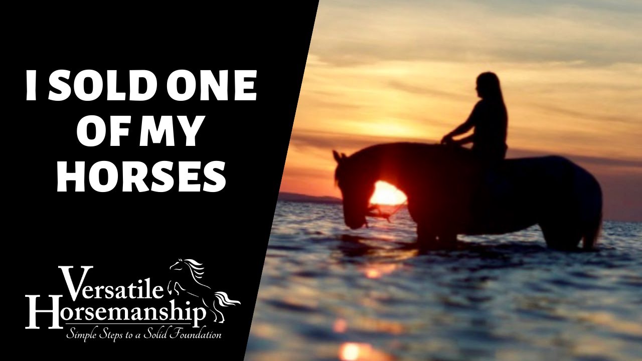 I SOLD ONE OF MY HORSES!