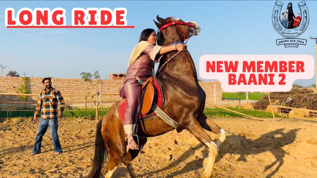 New member in ghode ala joda || ultimate riding || long ride horses || ghode ala joda