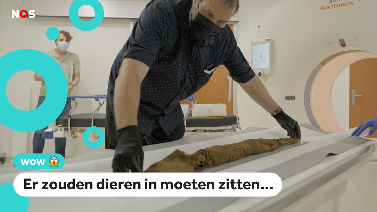 Wat zit er in deze mummies?
