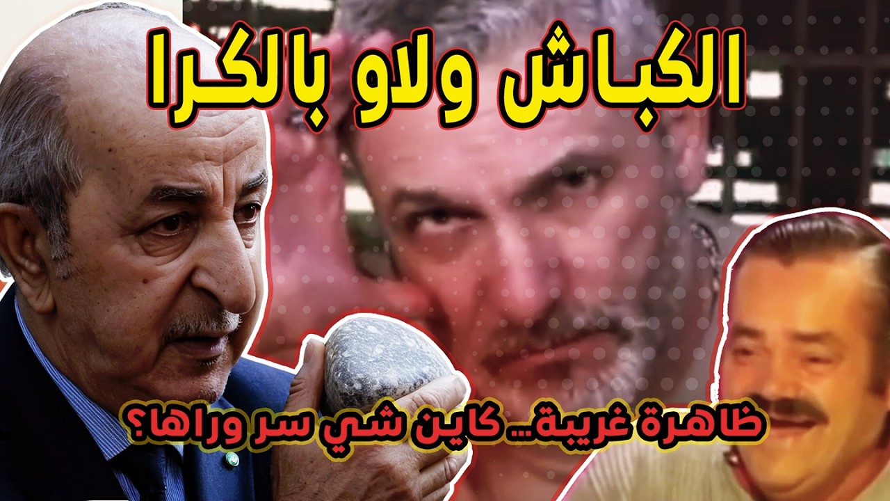 الجزائر المنورة: 🤯 عيد الأضحى فالمغرب و كراء الكباش فالعالم الآخر يا خو برك 🦆 ههه (ميمز مغربي) 🤣🤣🔥