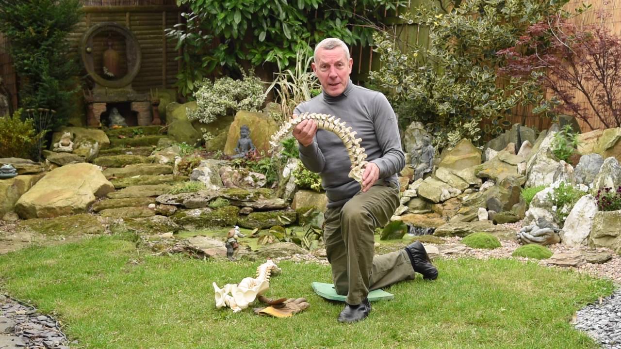 Avoid Gardeners Back! With Natural Movement in the Garden