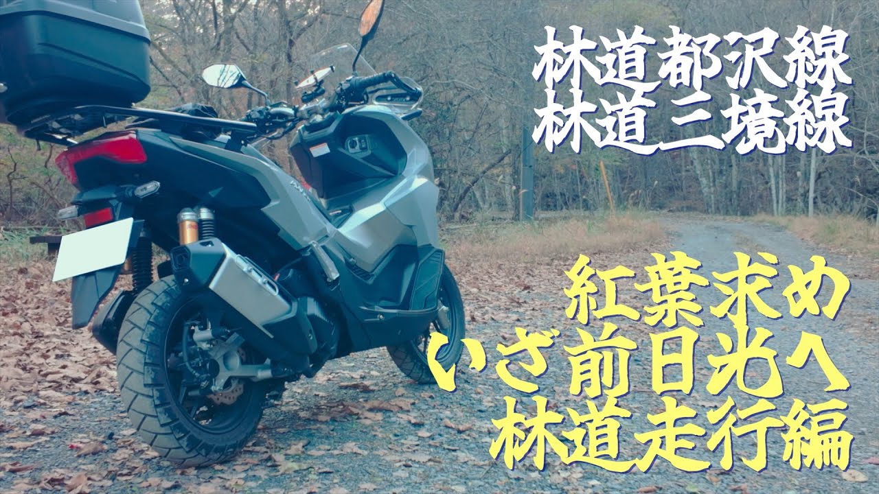 ADV160で紅葉を求め、いざ前日光へ。林道走行編。林道都沢線/林道三境線