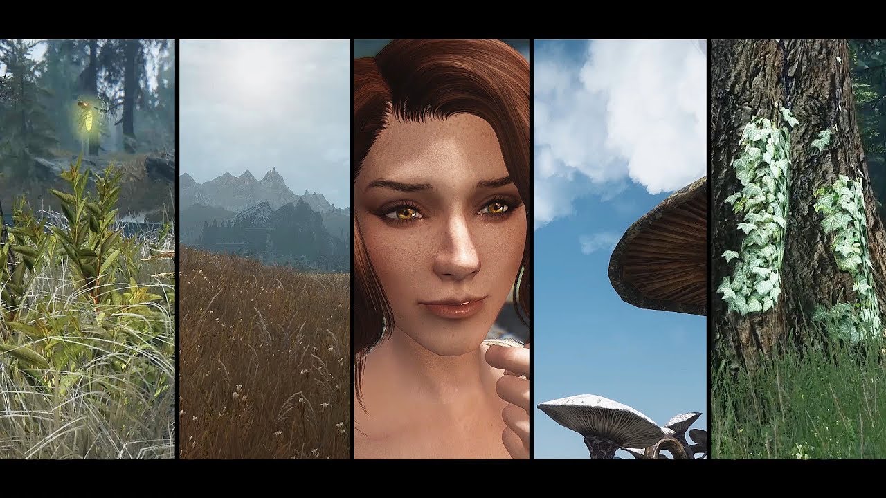 Realvision ENB is UPDATED! Realistic Graphic Mods 2017