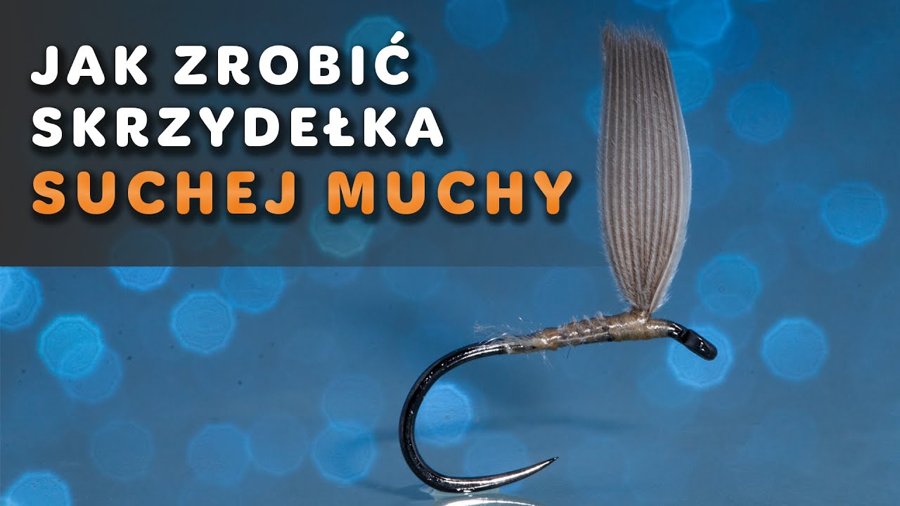 Jak zrobić skrzydełka suchej muchy jętki z promieni lotek kaczki krzyżówki - Fly tying techniques
