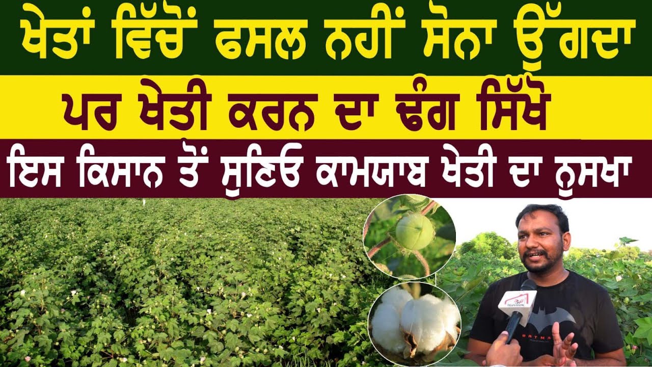 ਖੇਤਾਂ ਵਿੱਚੋਂ ਫਸਲ ਨਹੀਂ ਸੋਨਾ ਓਗ਼ਦਾ। ਪਰ ਖੇਤੀ ਕਰਨ ਦਾ ਢੰਗ ਸਿੱਖੋ। Pargat Singh Crops Information