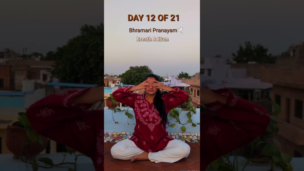day-12 #yoga #reiki #sound #dailyyoga#pranayama #free #yogadaily #love #relaxingmusic #zen