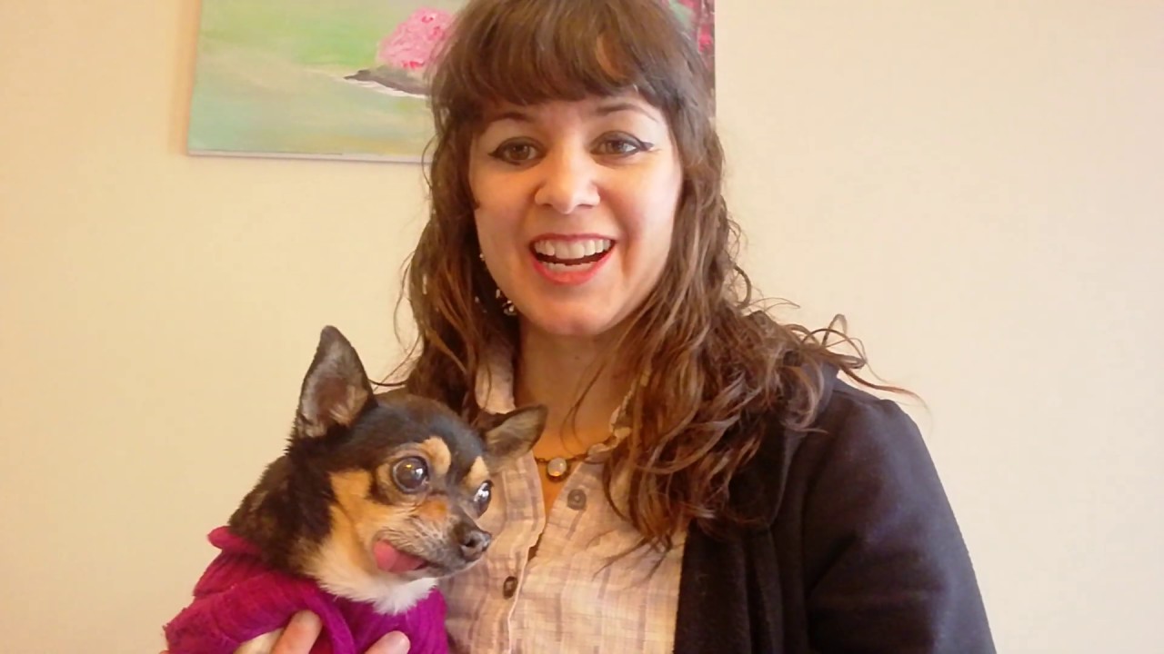 Pet Sitting Tips and Tricks: How to do a Pet Sitting Meet and Greet on Rover