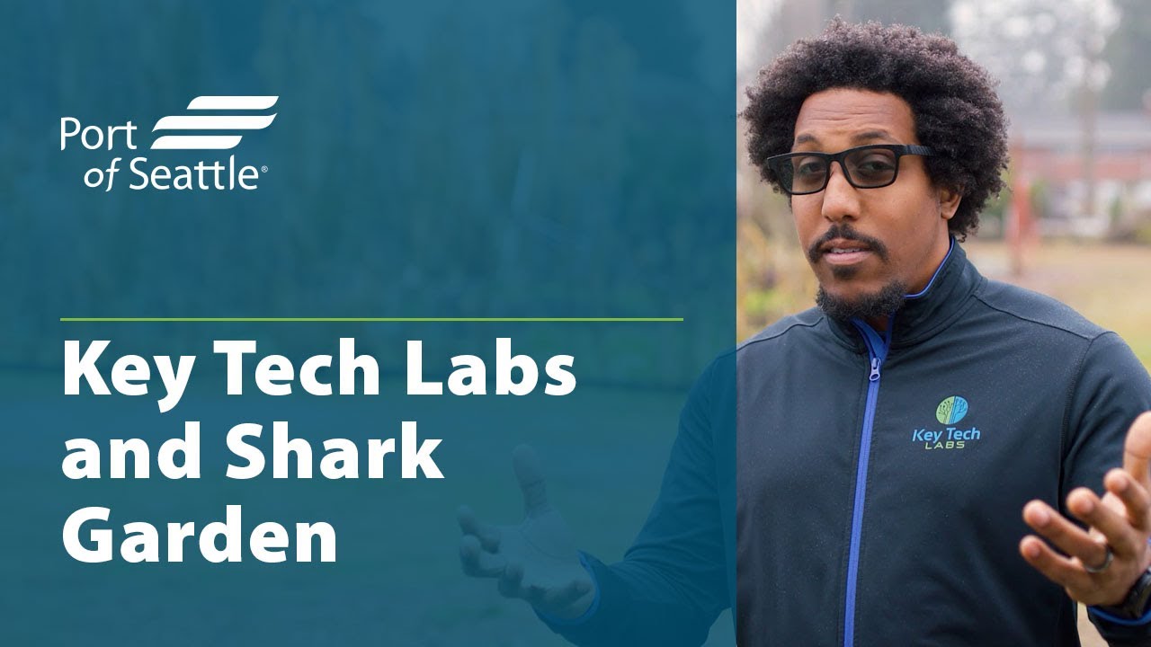 Key Tech Labs and Shark Garden