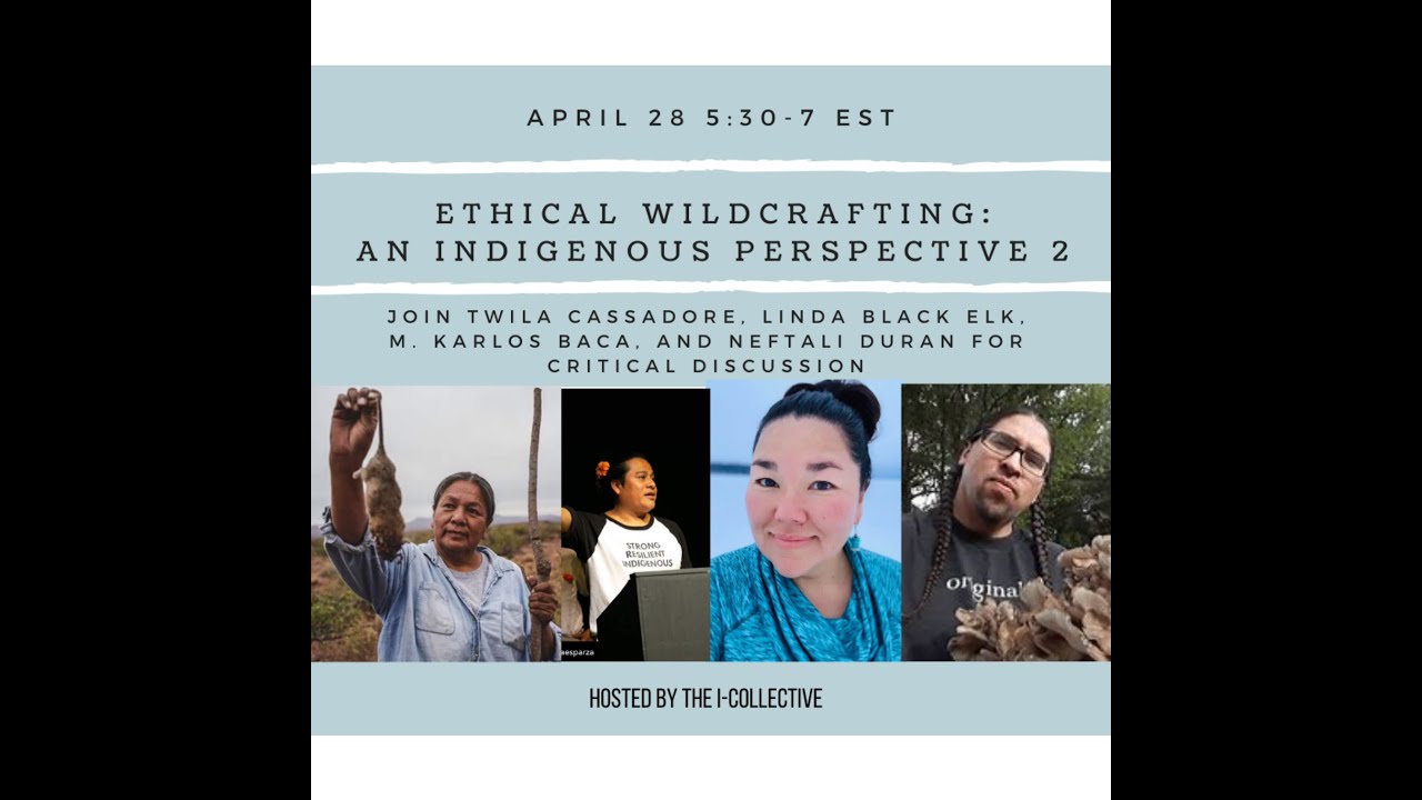 I-Collective Ethical Wildcrafting 2