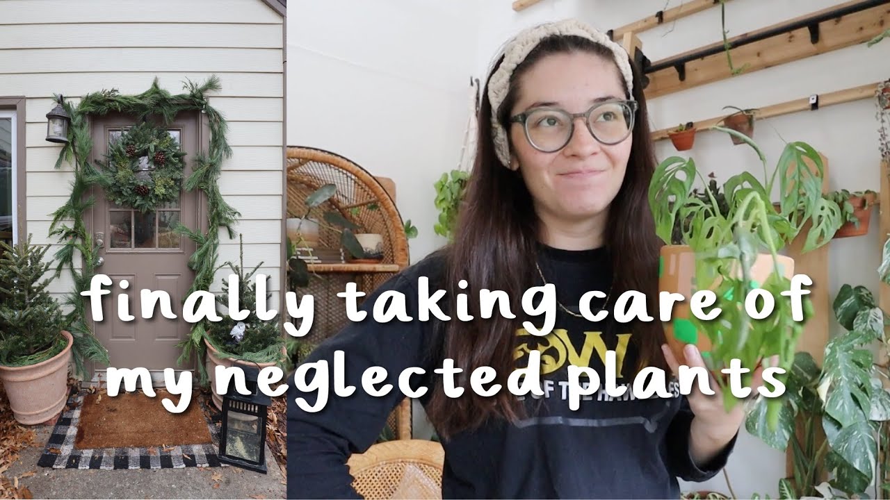 repotting even more plants, decorating my porch for Christmas, and tidying the plant room!