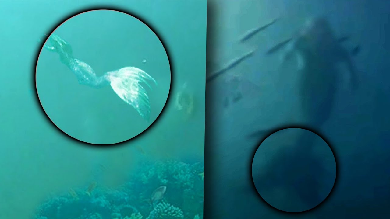 10 Evidencias de que existen las sirenas