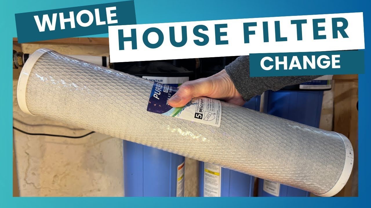Timed Whole House Water Filter Replacement (Pentek Big Blue)