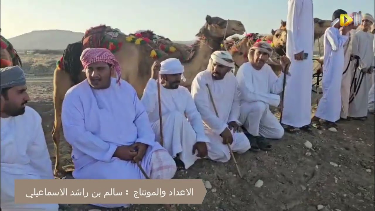ركض عرضة الأبل بولاية ضنك بمناسبة عيد الفطر 1446هـ - قناة الدار