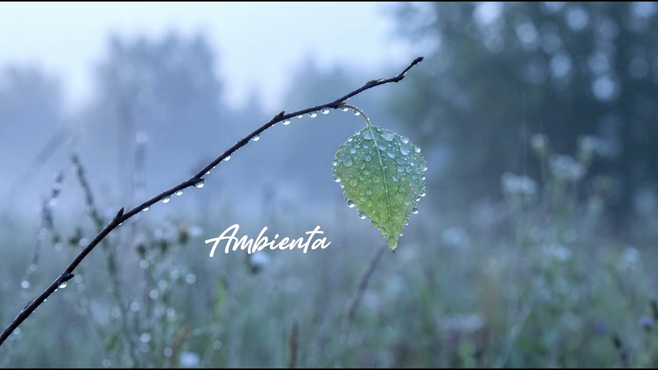 Peaceful Piano Music For Stress Relief | Ambienta