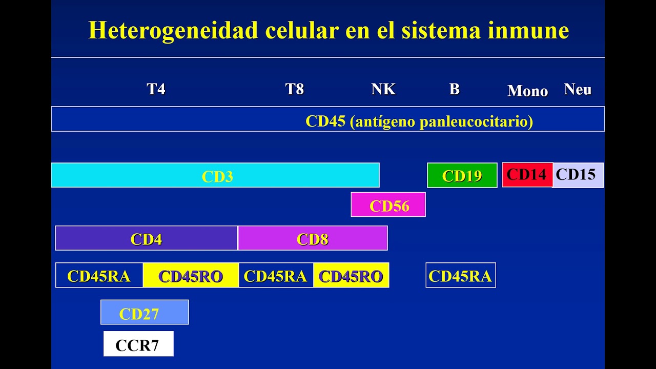 Repaso sobre interpretación de datos de citometría de flujo (preparación para las prácticas)