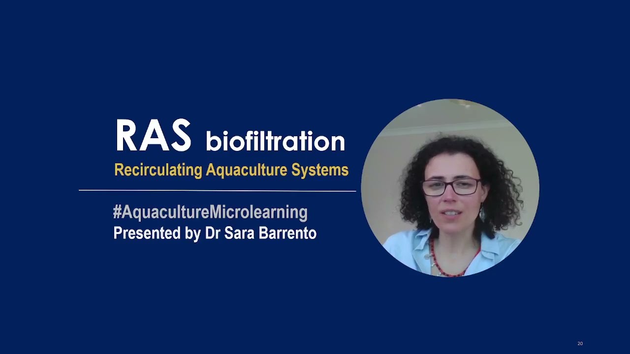 Recirculating Aquaculture Systems | Biofiltration - episode 3