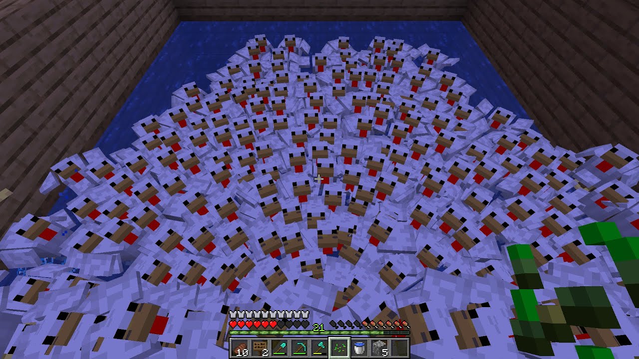 ‪Ryan3000,‬ I have more chickens.. Day 8