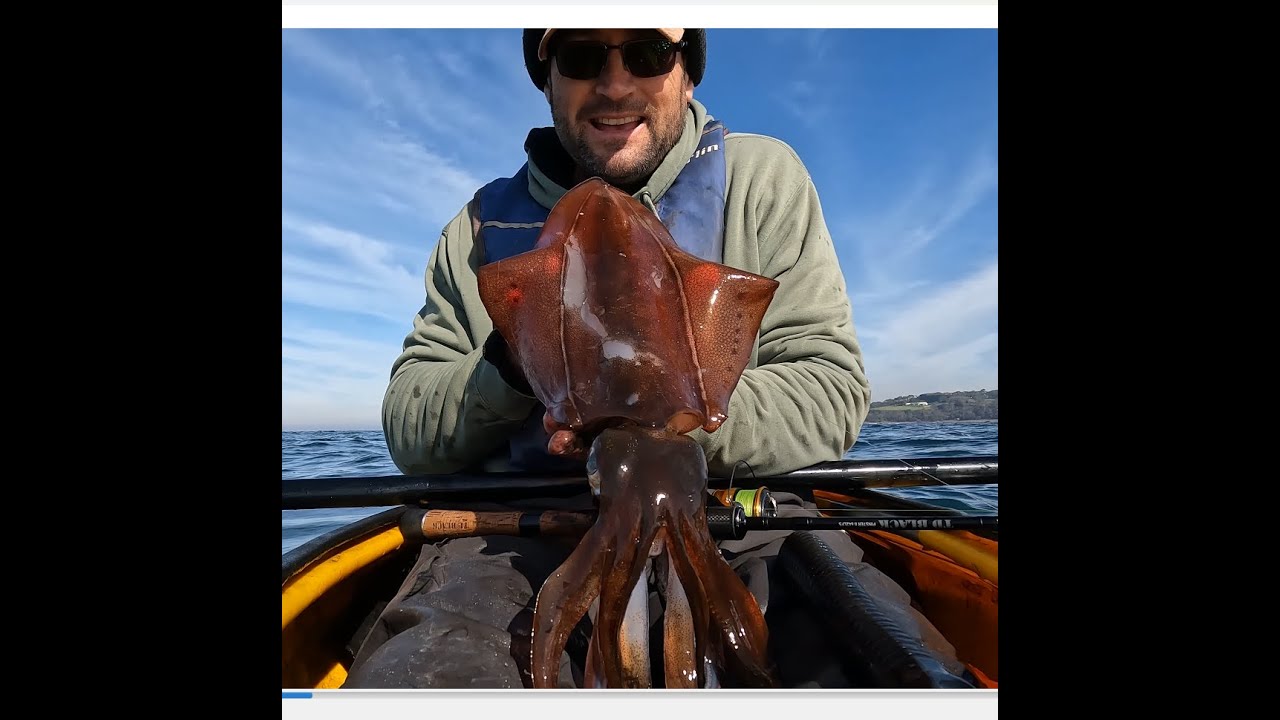 Western Port Squid Spring 2025