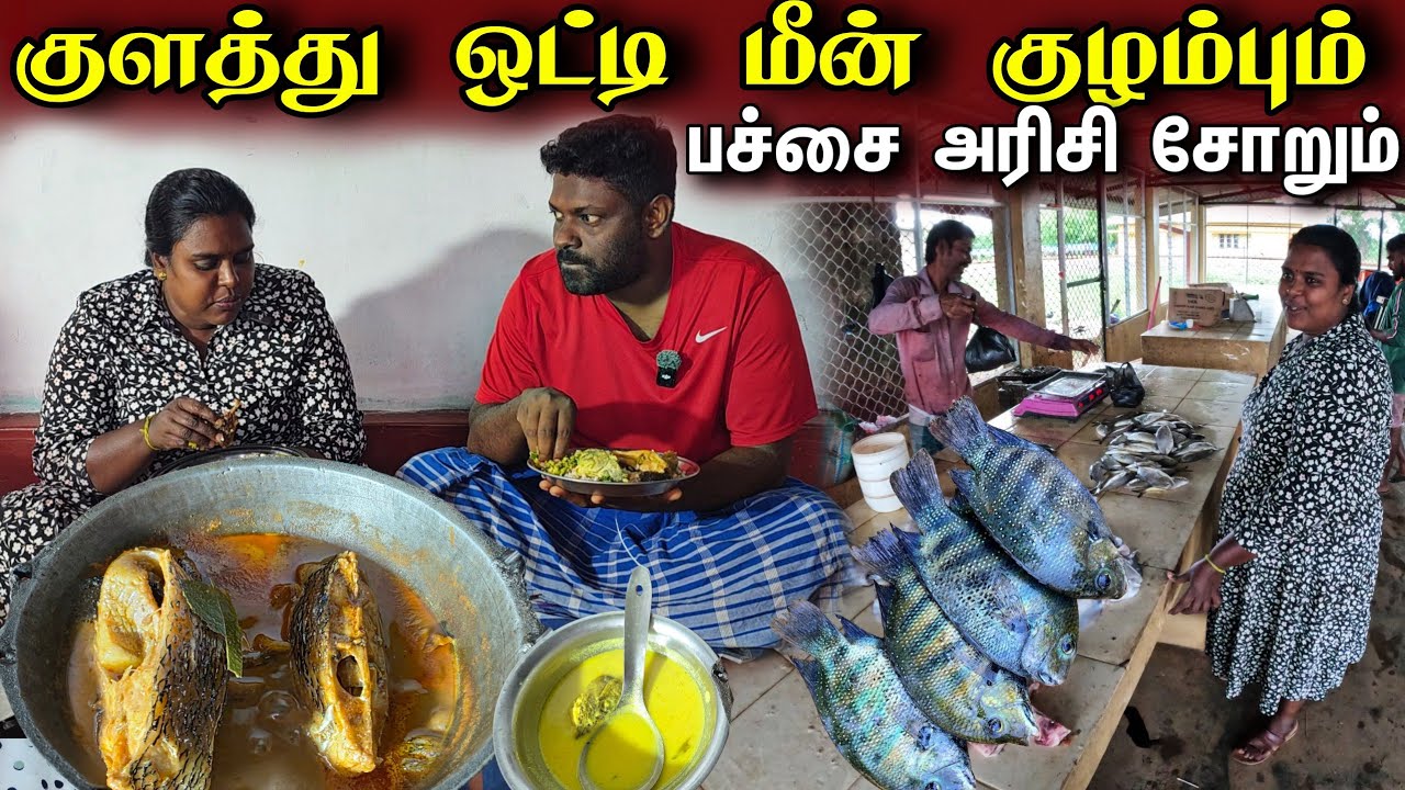 குளத்து ஒட்டி மீன் கறியும் பச்சை அரிசி சோறும் | Our Village life ♥️ | vanni vlog 