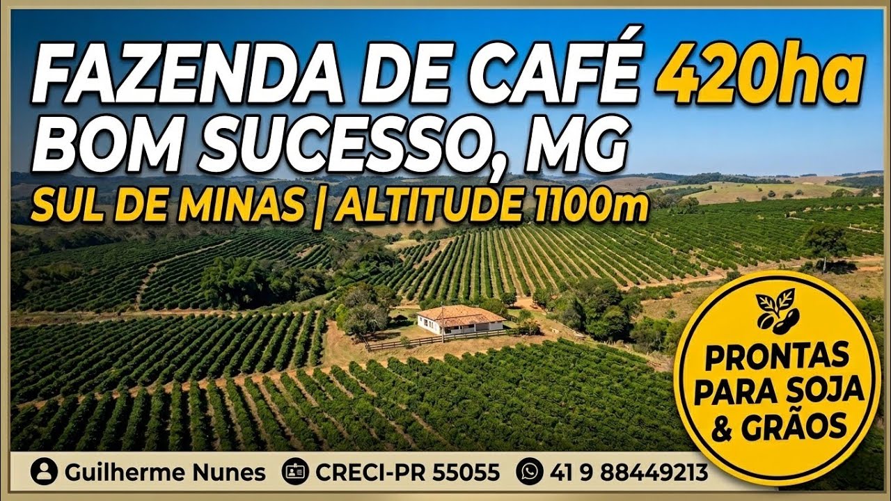 FAZENDA DE CAFÉ 420 HA EM BOM SUCESSO/MG: Altitude 1.100m e Rio das Mortes
