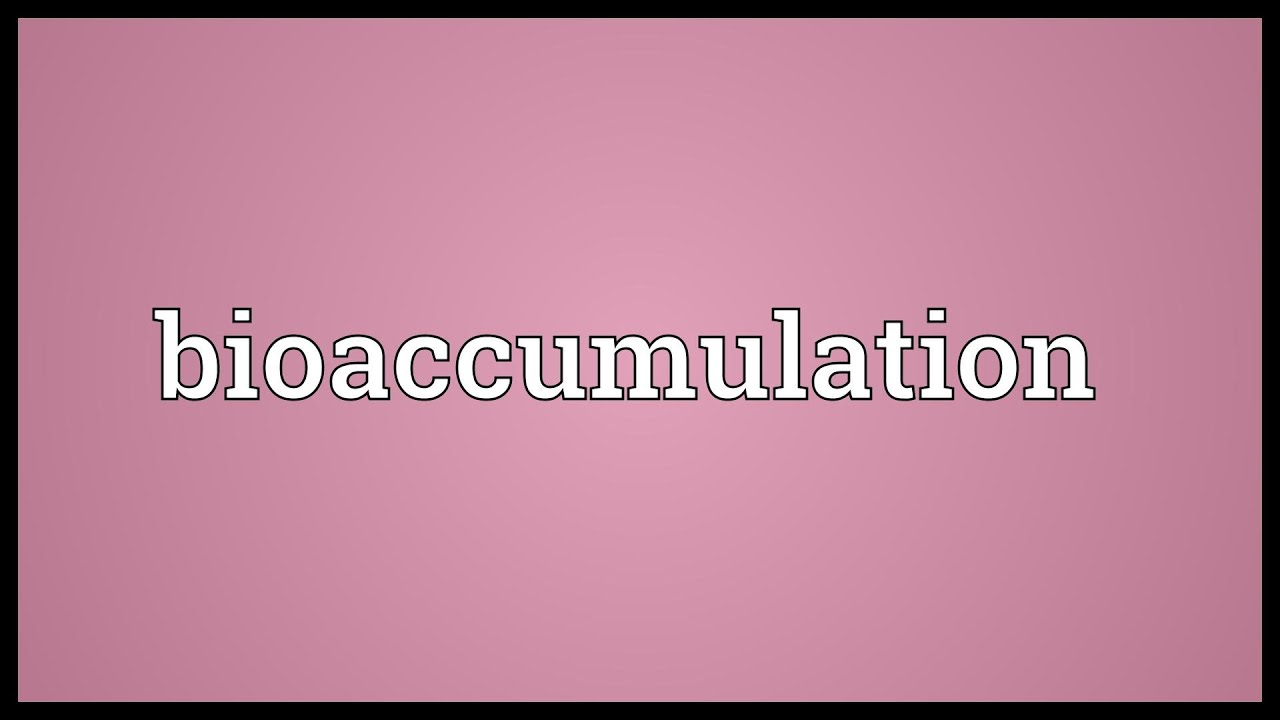 Bioaccumulation Meaning