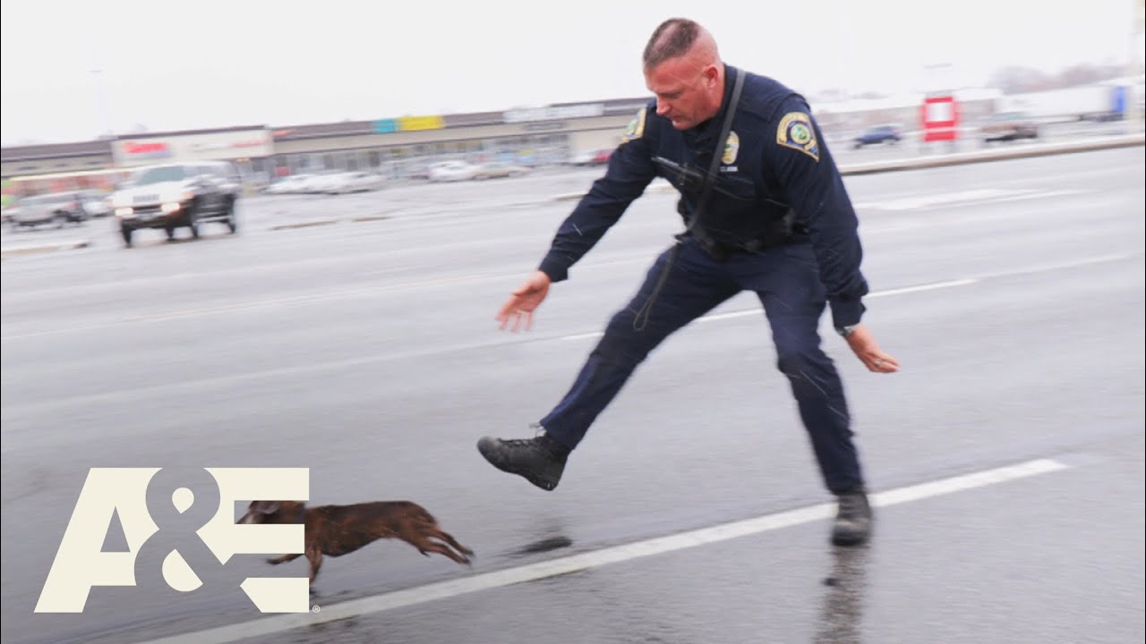 Live PD: Catch Me if You Can (Season 4) | A&E