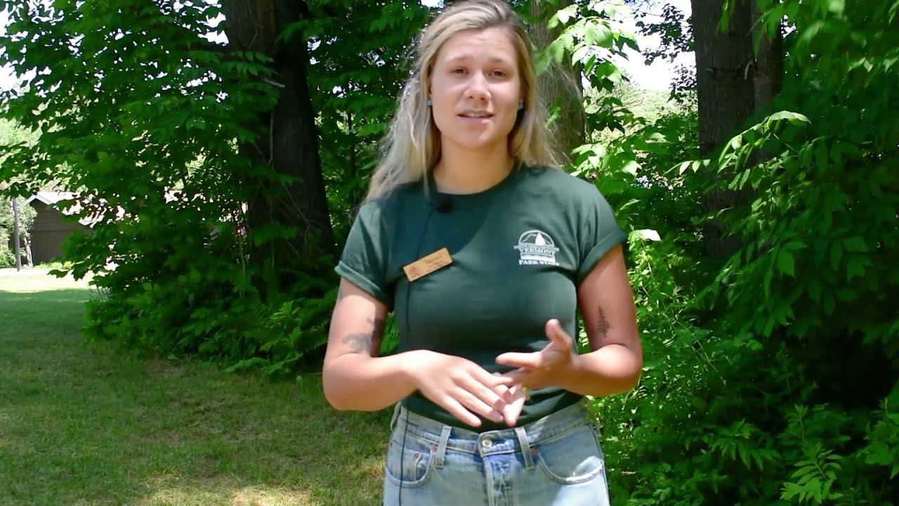 #WorkOutsideTheBox with Devani - Park Interpreter