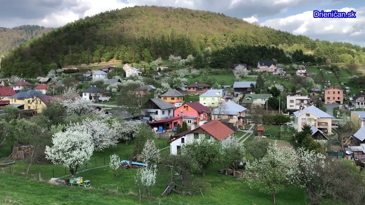 Drienica koncom apr&iacute;la
