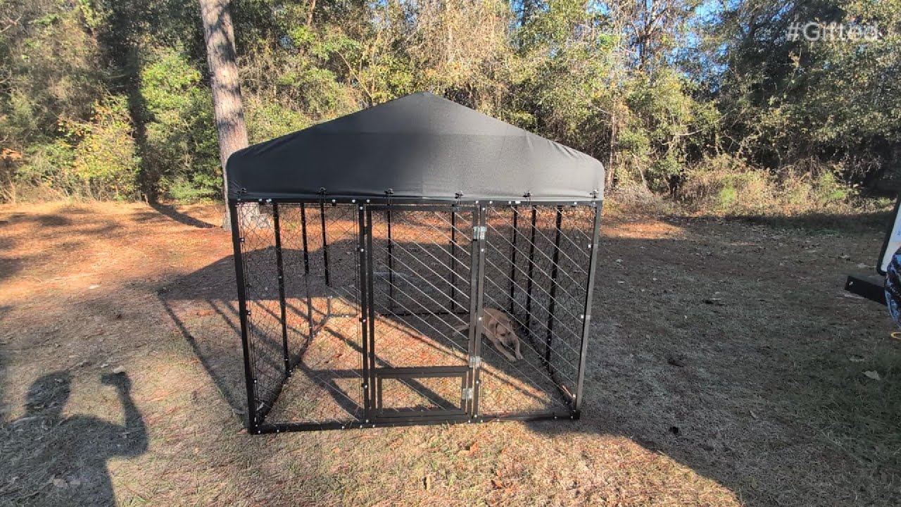 This Kennel Is Built Like a Fortress Maison Backyards Heavy Duty Dog Kennel Outdoor with Roof
