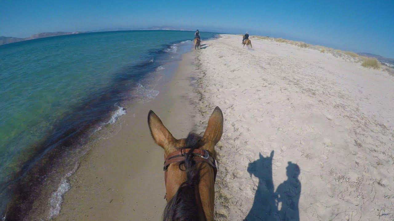RIJDEN over een naaktstrand in KOS.. - GoPro Marmari Beach | Equidreamz