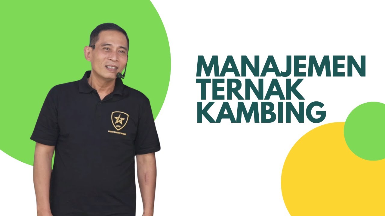 Manajemen Ternak Kambing #bayudiningrat 
